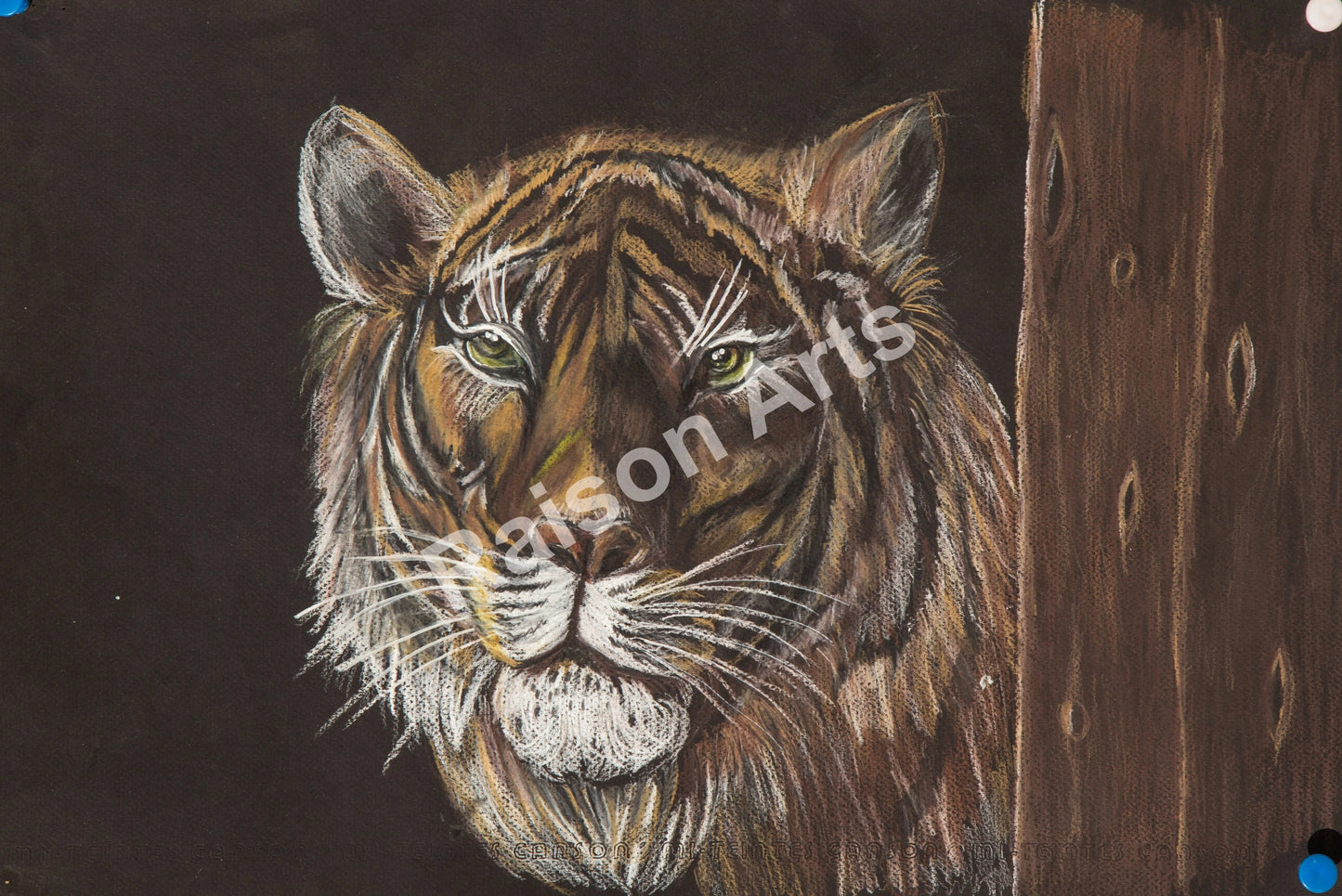 Tiger in the Barn