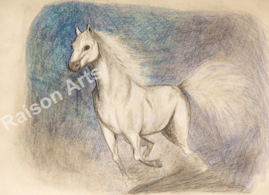 White Stallion Sketch