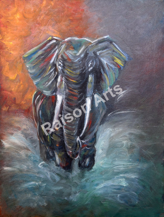 Splashing Pachyderm