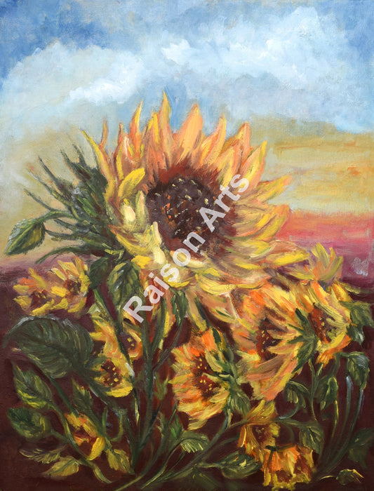 Sunflower Field