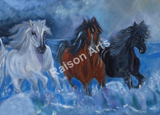 Horses on the Shore